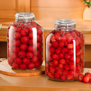 果酒泡酒瓶山楂酒专用酒坛青梅酿酒容器石榴柚子空瓶子玻璃密封罐