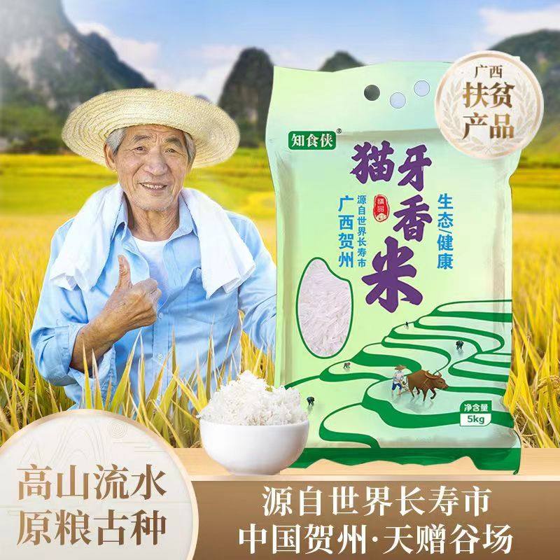 知食侠2024年新米猫牙米官方旗舰店农家米丝苗米象牙米长粒香大米