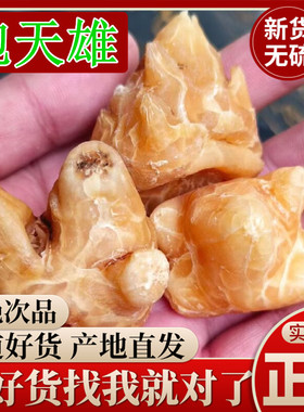 炮天雄四川江油特产 优质天雄散 另售 炮附片 黑顺片 中药材 包邮