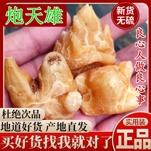 炮天雄四川江油特产 优质天雄散 另售 炮附片 黑顺片 中药材 包邮