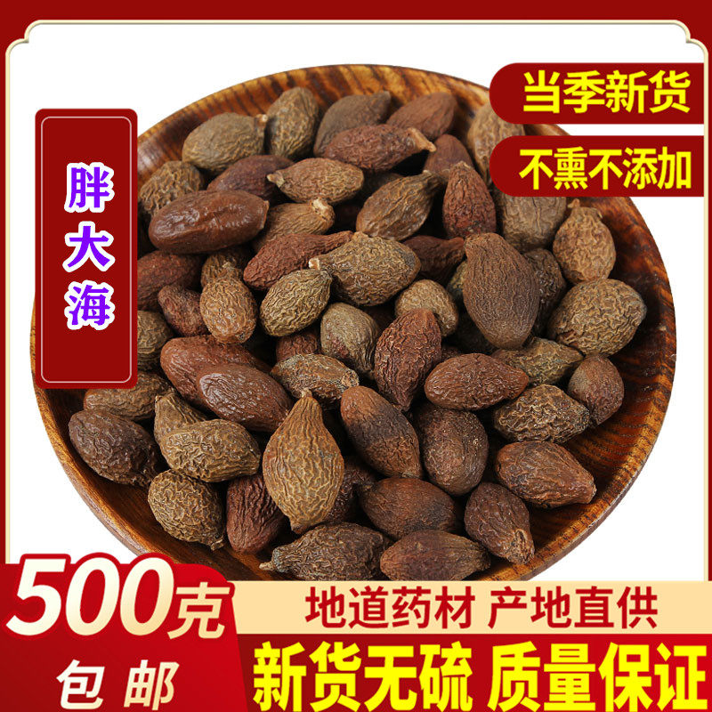 胖大海泡水散装正品泡水喝的中药材润喉茶500g特级包邮