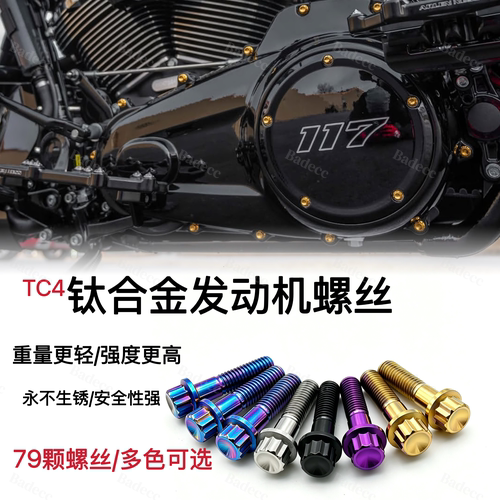 适用哈雷旅行系114/117/121CVO/ST大道公路滑翔钛合金发动机螺丝