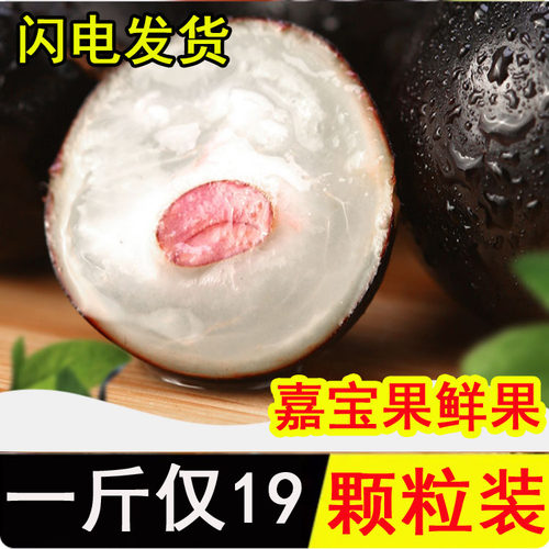 稀有嘉宝果新鲜水果树葡萄