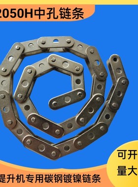 Z型提升机链条 碳钢镀镍C2050加厚中孔链条 节距31.75 提升机料斗