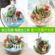 包邮 苔藓微景观DIY生态瓶玻璃创意迷你植物礼物办公室桌面盆栽