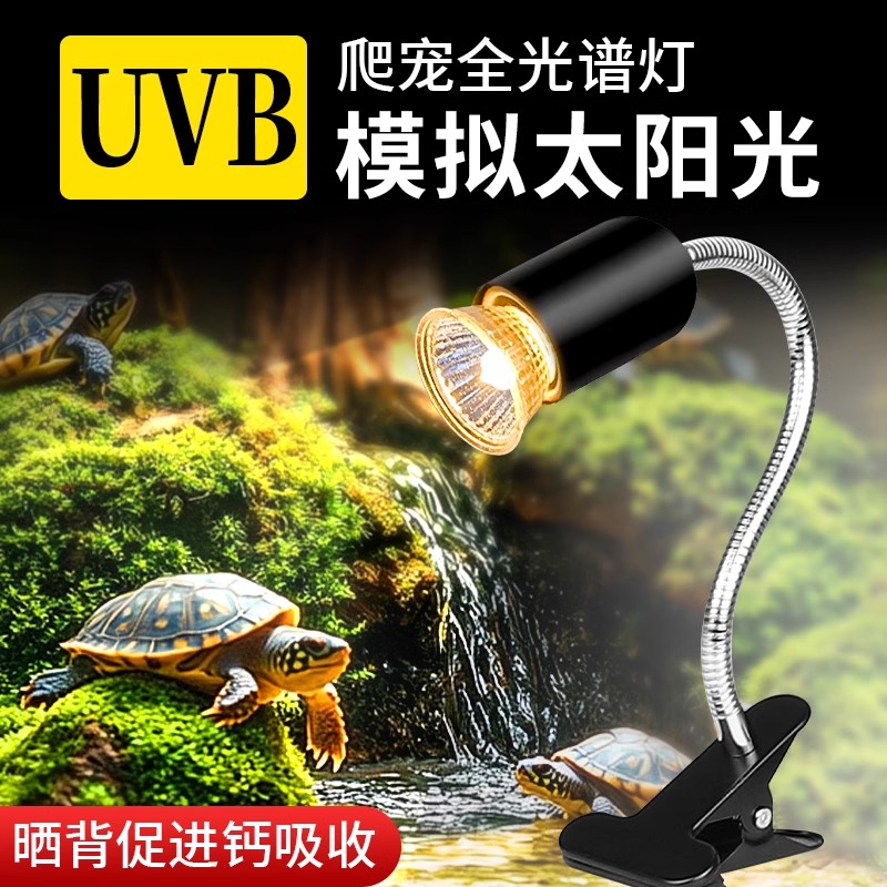 森乌龟晒背灯全光谱爬宠