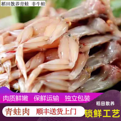 稻田青蛙活蛙宰杀口感好散养
