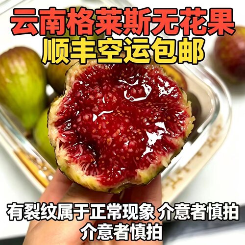 云南格莱斯特小蜜无花果顺丰包邮