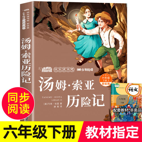 汤姆索亚历险记六年级课外书