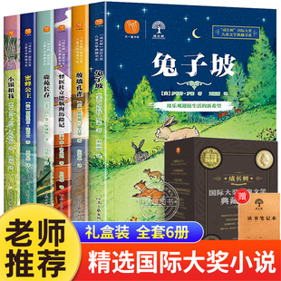 三四五六年级必读 成长树国际大奖儿童文学系列典藏书系全套6册兔子坡纽伯瑞奖 课外书中小学生阅读书籍老师推荐 经典 书目小说读物