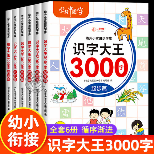 识字大王3000字全套6册 认字卡片幼儿认字 幼儿启蒙早教书 学前识字幼儿园大班升一年级幼小衔接教材 看图识字卡大图大字