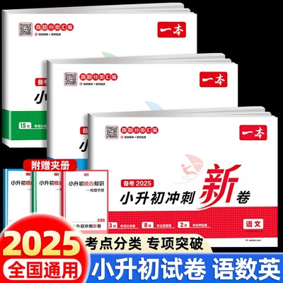 2025一本小升初冲刺新卷语文数学英语人教版名校冲刺六年级毕业升学总复习专项训练小学知识考点大集结模拟测试期末冲刺真题卷RJ