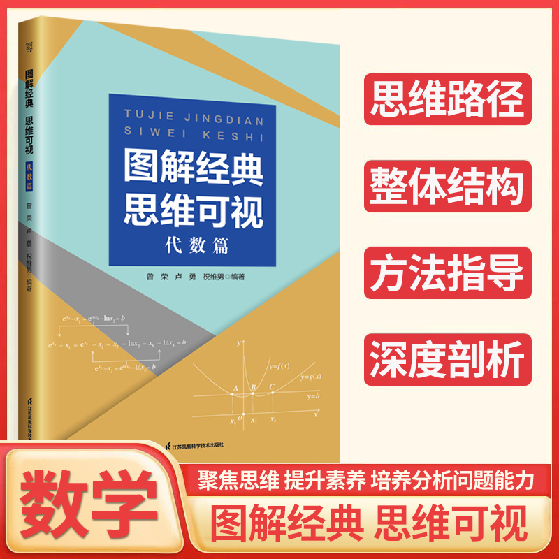 全新版图解经典思维可视代数篇高中数学函数与导数高二数列高三概率统计辅导资料 2024新高考数学解题方法与技巧典例分析zj