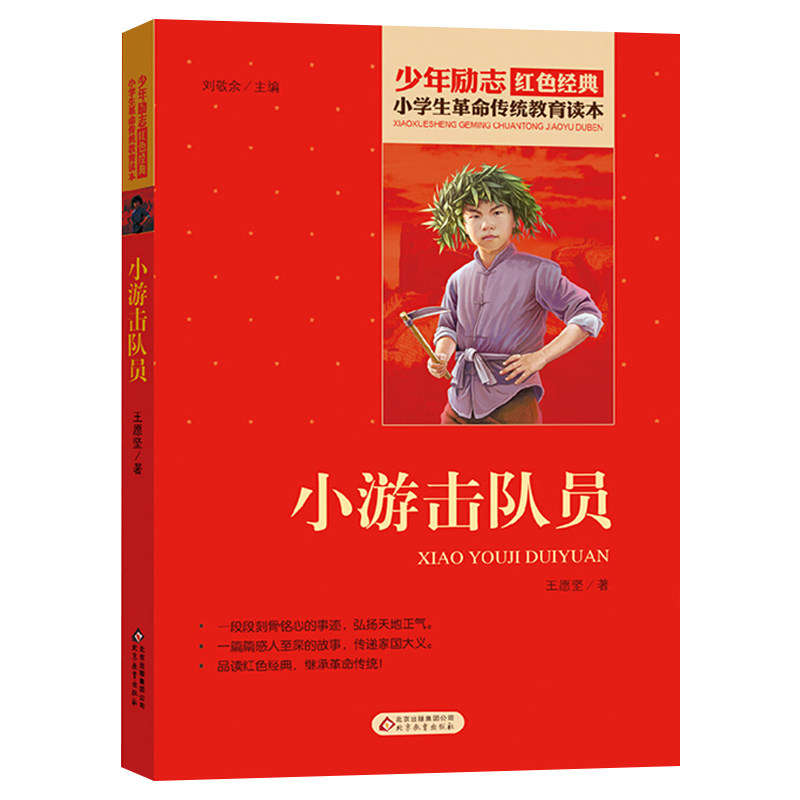 小游击队员 少年励志红色经典书籍 小学生革命传统教育读本 三四五六