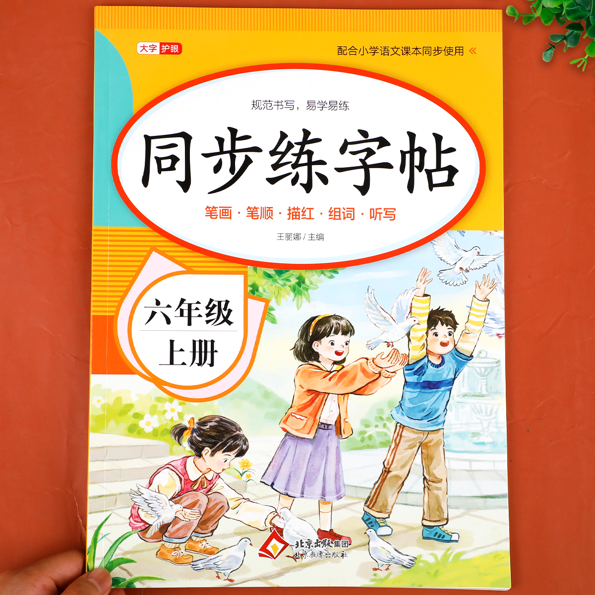 2025新版 六年级上册练字帖语文同步字帖人教版 小学生6上学期教材课文生字贴正楷硬笔书法练习笔顺写字本六上每日一练课课练部编