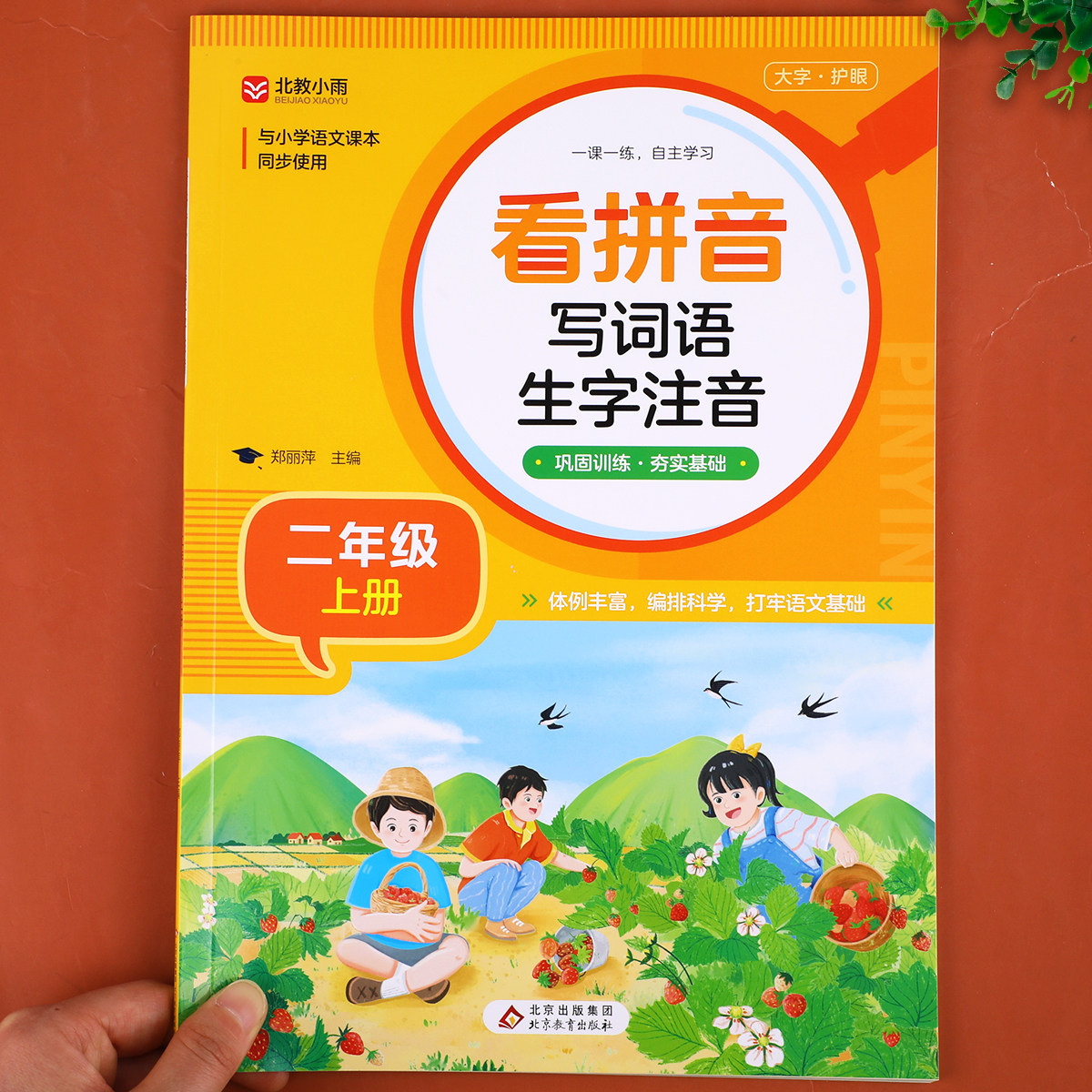 【老师推荐】二年级上册看拼音写词语生字注音人教版部编同步课本课文填空句子训练语文练习题专项练习小学生2年级上学期RJ