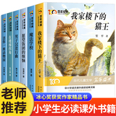 我家楼下 全6册 儿童读物 猫王魔法学校小学生三四五六年级必读课外阅读书籍适合10岁以上孩子看 冰心儿童文学获奖作品集百年经典