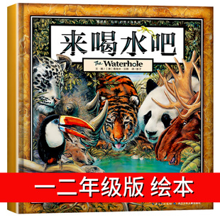 精装 6周岁幼儿宝宝启蒙早教图画书籍一年级课外阅读物葛瑞米贝斯丛林三部曲国外获奖绘本1岁 硬皮绘本3 儿童故事书 来喝水吧