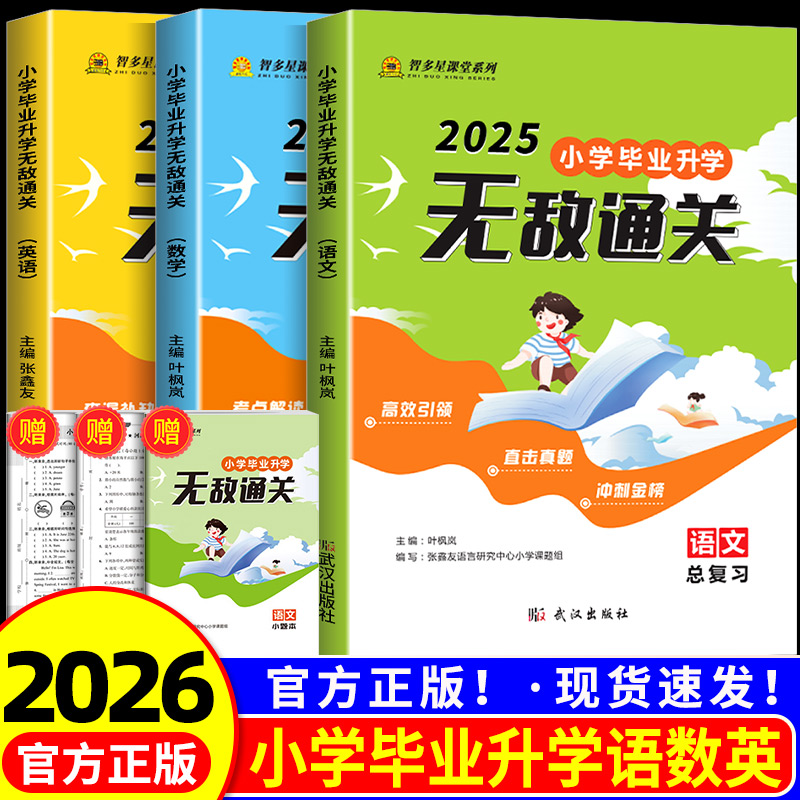 2025小学毕业升学无敌通关语文数学英语总复习书小升初真题押题卷小考专家总复习小学毕业升学一本全智多星RJ