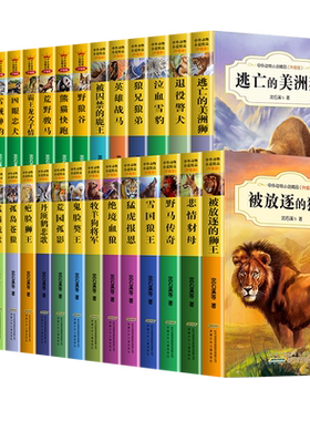 沈石溪动物小说全集正版狼兄