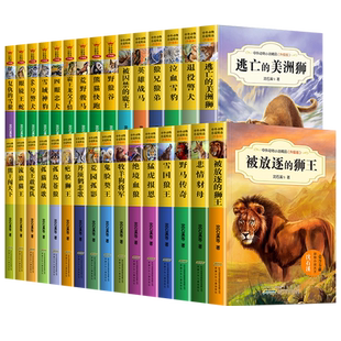 沈石溪动物小说全集全套正版狼兄狼弟虎豹兄弟情霸王龙父子情绝境血狼三四五六年级小学生课外阅读书籍儿童文学读物故事书中外精品