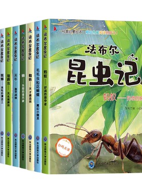 幼儿园昆虫绘本全套10册老师推荐