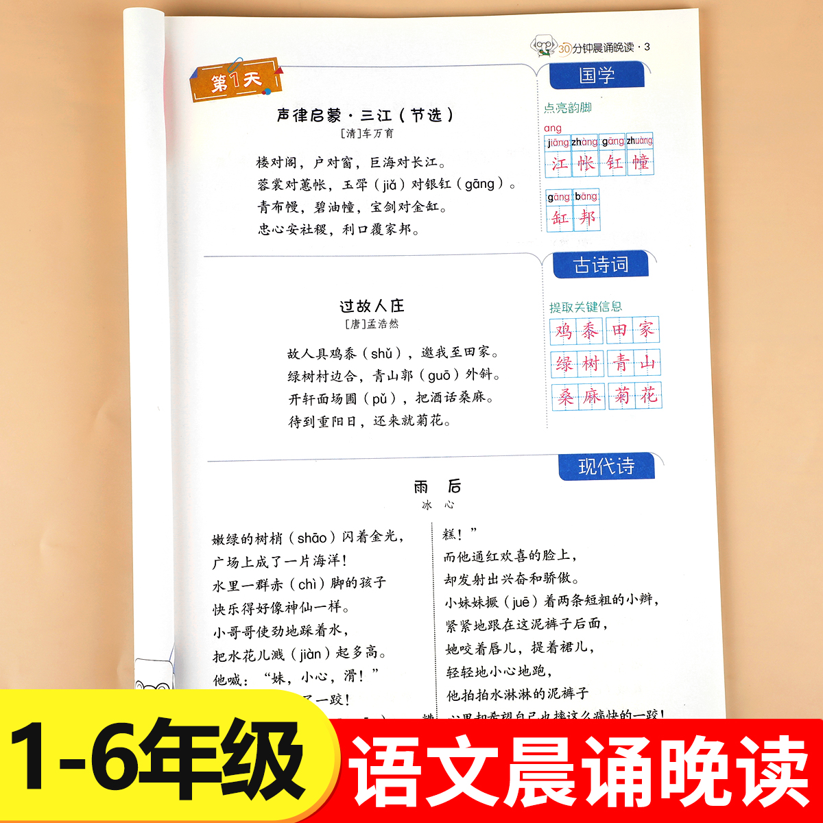 【老师推荐】小学语文30分钟晨诵晚读63天养成好习惯一二三四五六年级上册下册人教版小学生阅读课外书籍晨诵暮读每日晨读美文RJ