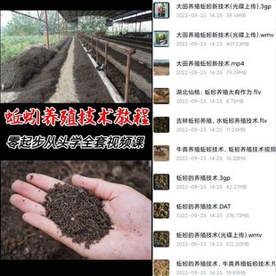 养蚯蚓技术 蚯蚓养殖技术视频教学 农业养殖钓鱼活蚯蚓视频教程
