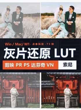 索尼灰片还原LUT预设HLGslog2slog3视频图片709剪映PR通用log