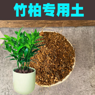 竹柏专用土竹柏土阳台绿植透气酸性沙性红土壤盆景盆栽营养土花肥