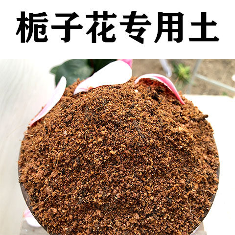 栀子花专用土弱酸性土种植家用图片
