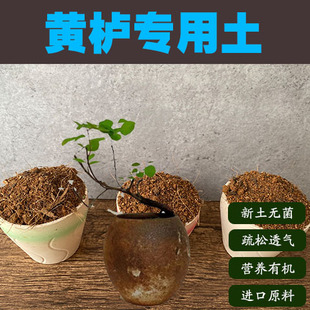 黄栌专用土黄栌树盆栽营养土庭院老桩绿植种植酸性沙质土壤种植肥