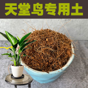 天堂鸟鹤望兰专用土酸性透气椰糠泥炭土壤室内绿植种植营养土花肥