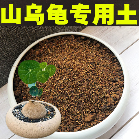 山乌龟土盆栽营养土种植土颗粒