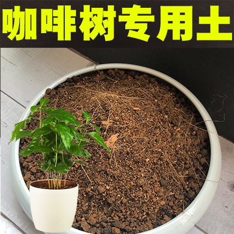 盆栽酸性沙质专用绿植营养土