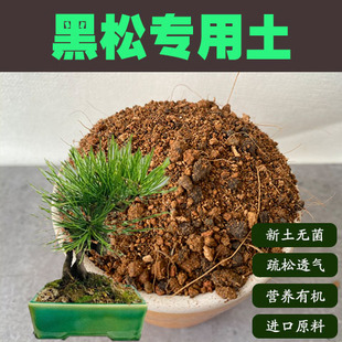 黑松土专用土日本老桩盆景营养土盆栽绿植种植弱酸性沙质土壤肥料