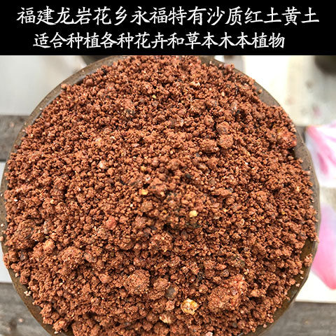 沙质红土弱酸性黄土花泥通用型营养土种植绿植菜盆栽家用有机土壤 - 封面