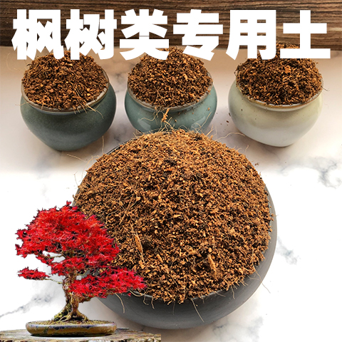 枫树专用土盆栽酸性沙质绿植