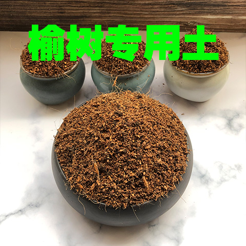 榆树盆景酸性绿植肥料沙质土壤