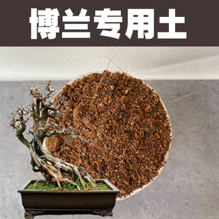 博兰专用土盆栽盆景营养土家用室内花卉酸性沙质红土壤绿植种植肥
