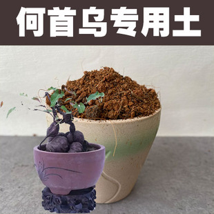 何首乌专用土家用盆栽爬藤种植苗营养土酸性沙质土壤绿植有机肥料