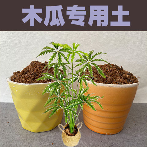 木瓜专用土木瓜树种植营养土酸性沙质红黄土壤庭院绿植花泥土肥料