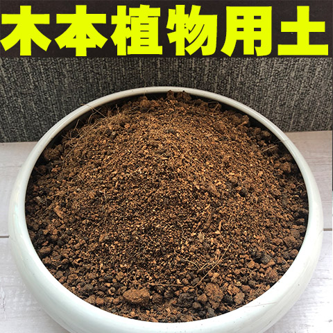 木本植物通用土沙质泥炭红土