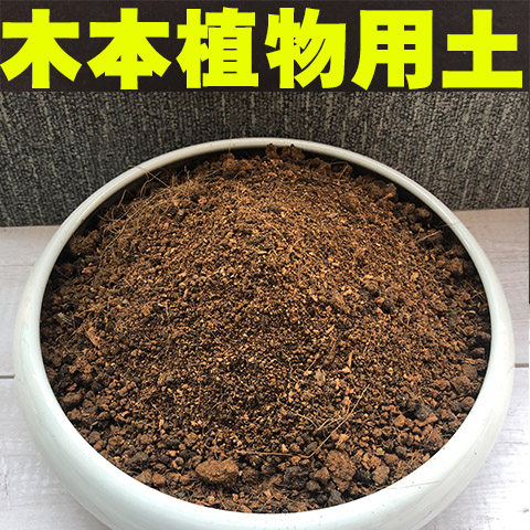 木本植物通用土沙质泥炭红土