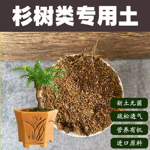 杉树专用土家用盆景营养土酸性沙质透气颗粒红土壤绿植种植有机肥
