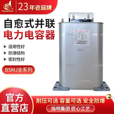 指明单相自愈式并联电容器