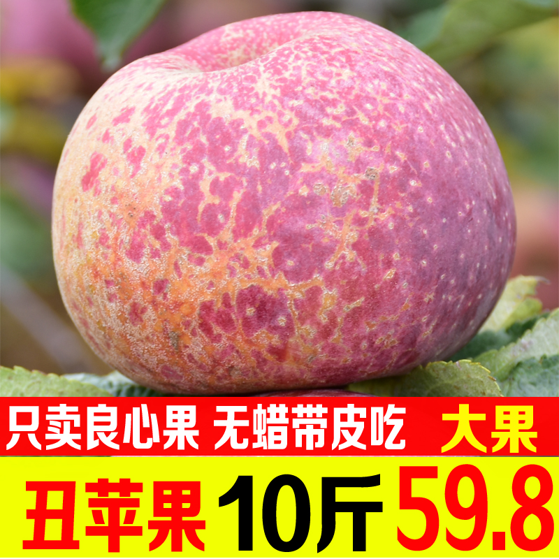云南昭通丑苹果水果新鲜当季冰糖心红富士脆甜野生整箱10斤批包邮热销236件买三送一