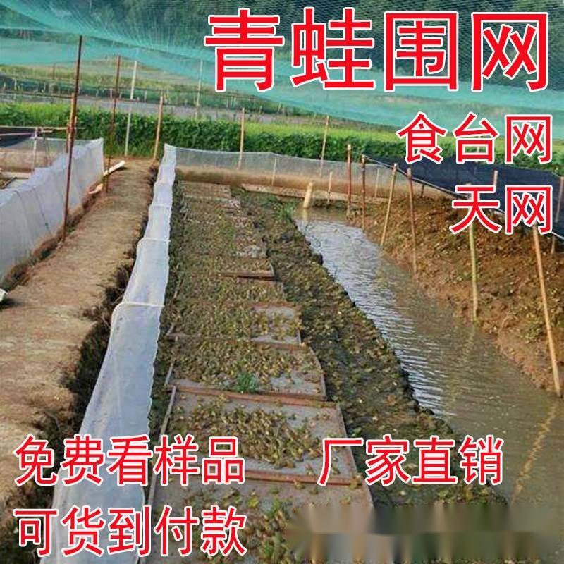 40目加厚青蛙养殖围网防逃网牛蛙80目食台网诱食网尼龙60目防虫网