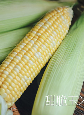 云南鲜甜玉米鲜甜多浆