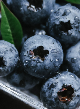 乐作 | 云南高山花香蓝莓 甜脆花香十足蓝莓新鲜水果晨采午发顺丰